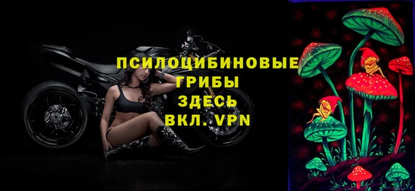 индика Карталы