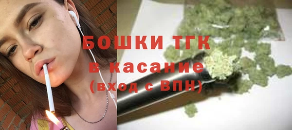 гидропоника Карпинск