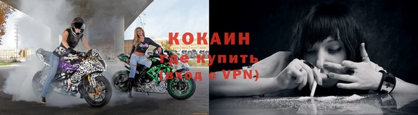 гидропоника Карпинск