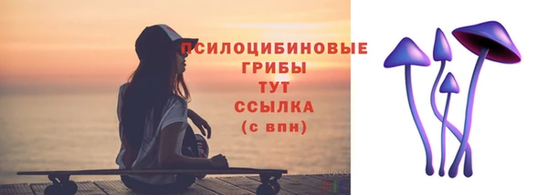 индика Карталы