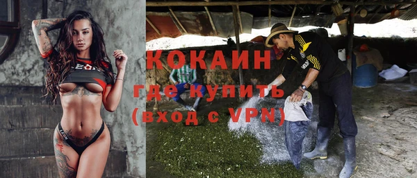 индика Карталы