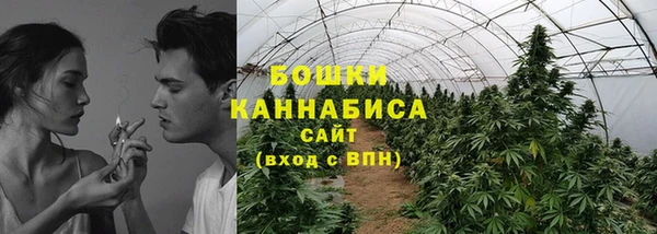PSILOCYBIN Козельск